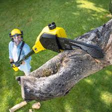 Best Aeration Services  in Bement, IL